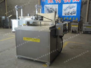 魚(yú)仔油炸生產(chǎn)線全解析 從設(shè)備供應(yīng)到技術(shù)咨詢一站式服務(wù)