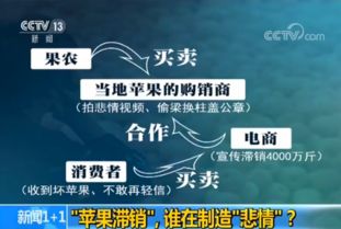 蘋果滯銷的悲情牌 互聯(lián)網(wǎng)銷售背后的真相調(diào)查